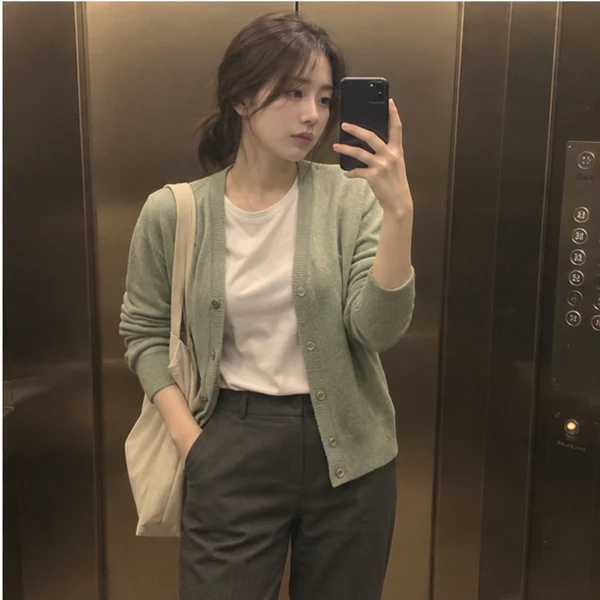 창원 마리 테라피 안내 이미지